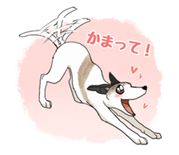 whippet ramu 1 sticker #11290893