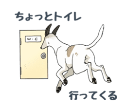 whippet ramu 1 sticker #11290894