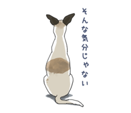whippet ramu 1 sticker #11290895