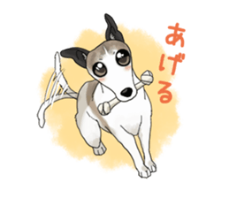 whippet ramu 1 sticker #11290896