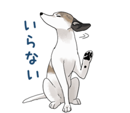 whippet ramu 1 sticker #11290897