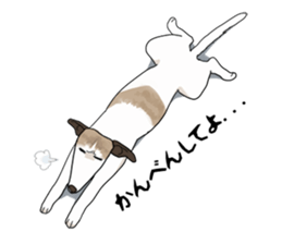 whippet ramu 1 sticker #11290901