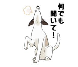 whippet ramu 1 sticker #11290905