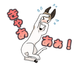 whippet ramu 1 sticker #11290908