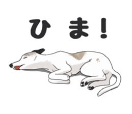 whippet ramu 1 sticker #11290909