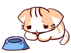 Orange Cat like Orange sticker #11292567