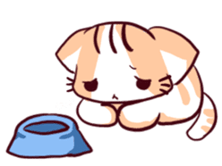 Orange Cat like Orange sticker #11292567