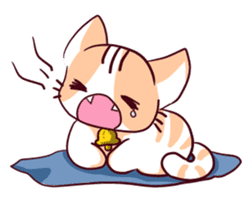 Orange Cat like Orange sticker #11292569