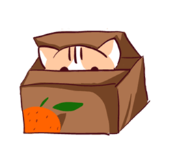 Orange Cat like Orange sticker #11292591