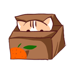 Orange Cat like Orange sticker #11292591