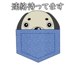 It's always same. (Honorific)  3 sticker #11292653