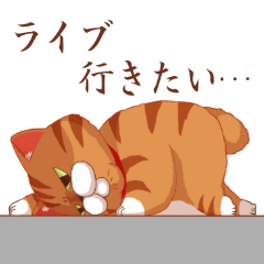 Fatty cat of the comedy fan