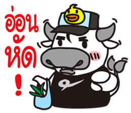 "PUEK" Buffalo with slow life 4 sticker #11294147