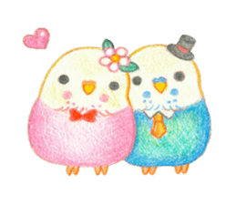 !Budgerigar! sticker #11297212