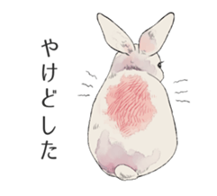 Animals of poor health sticker #11297241