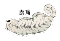 Animals of poor health sticker #11297257