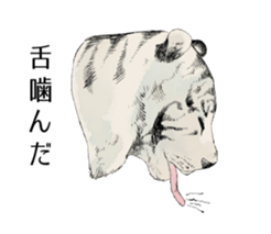 Animals of poor health sticker #11297259