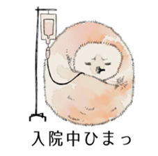 Animals of poor health sticker #11297264