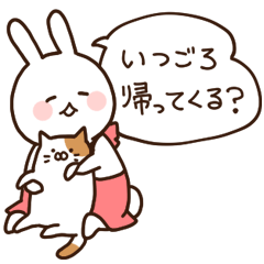 Everyday friendly housewife rabbit