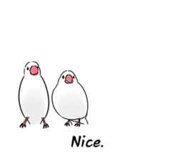 LittleBirdsSticker sticker #11297922