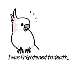 LittleBirdsSticker sticker #11297946