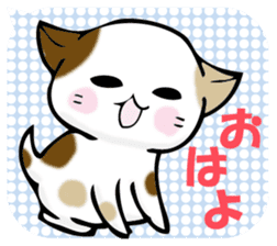 In the balloon, baby cat sticker #11298000