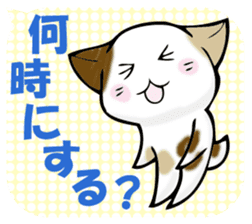 In the balloon, baby cat sticker #11298015