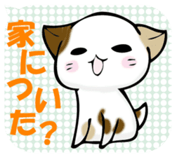 In the balloon, baby cat sticker #11298018