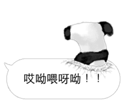 Panda I Love You 2 sticker #11300390