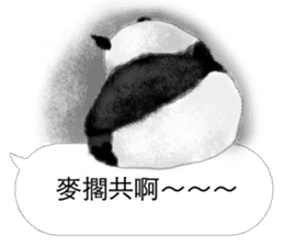 Panda I Love You 2 sticker #11300393