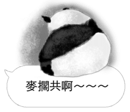 Panda I Love You 2 sticker #11300393