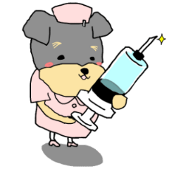 The name of this dog is ANKO Part3