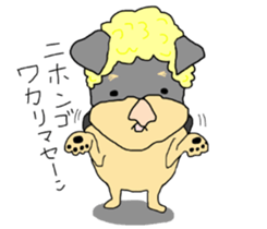 The name of this dog is ANKO Part3 sticker #11300731