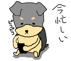 The name of this dog is ANKO Part3 sticker #11300749