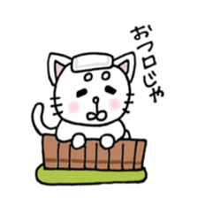Nekomaro-san sticker #11302017