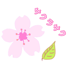 Koala such as the avocado sticker #11302837