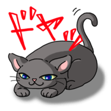 everyday cats Sticker sticker #11303422