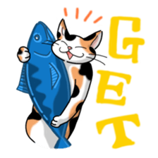 everyday cats Sticker sticker #11303426