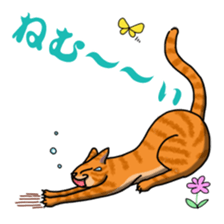 everyday cats Sticker sticker #11303428