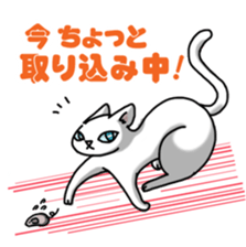 everyday cats Sticker sticker #11303431