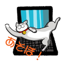everyday cats Sticker sticker #11303432