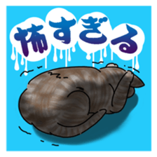 everyday cats Sticker sticker #11303437