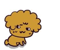 Every day, toy poodle sticker #11303921