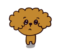 Every day, toy poodle sticker #11303925
