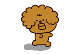 Every day, toy poodle sticker #11303926
