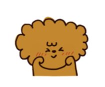 Every day, toy poodle sticker #11303927