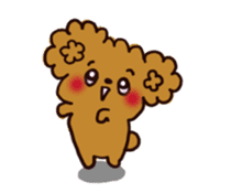 Every day, toy poodle sticker #11303929