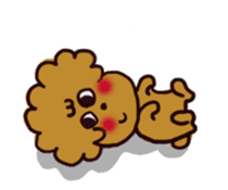 Every day, toy poodle sticker #11303930