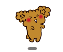 Every day, toy poodle sticker #11303931