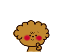 Every day, toy poodle sticker #11303933